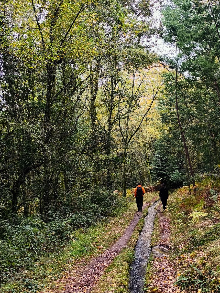 Two walkers on a forest path beside a stone water channel